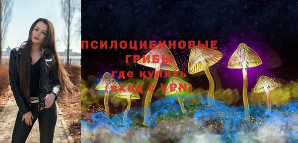 дмт Балахна